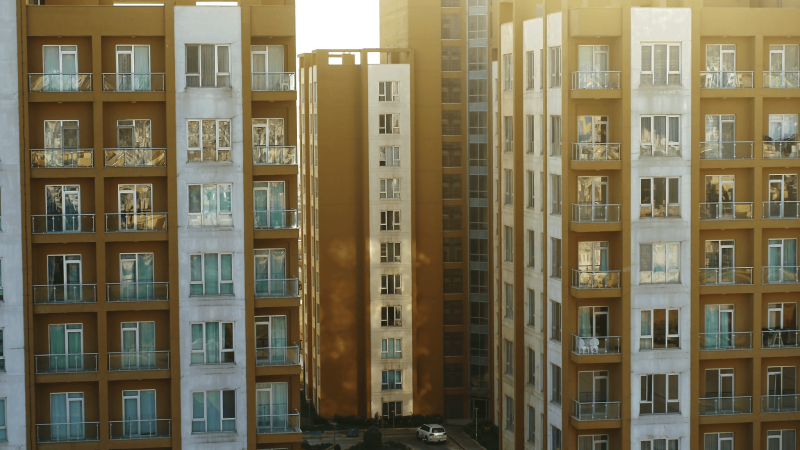 Mazi Land - view